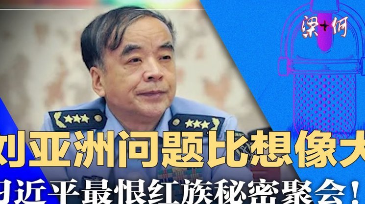 米兰内部争锋：朗尼克与伊布派的较量