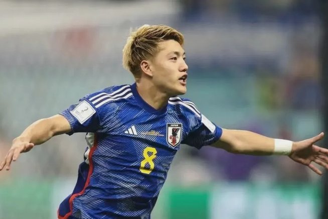 本届世界杯日本队26人的成长路径