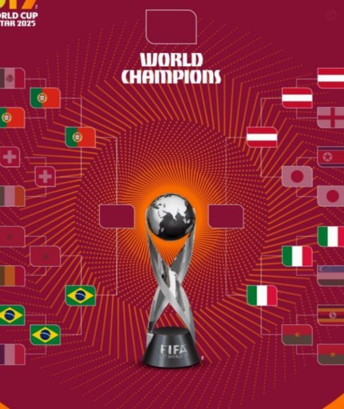 世界杯1/16决赛对阵确定：日本战巴西，葡萄牙对阵克罗地亚