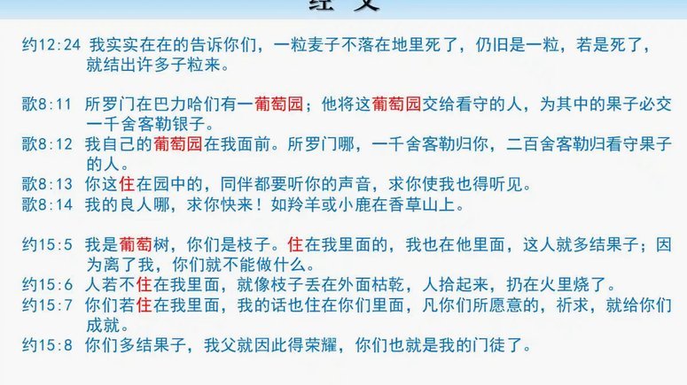 懂粉群体：教主崇拜与信息扭曲的反体制行为